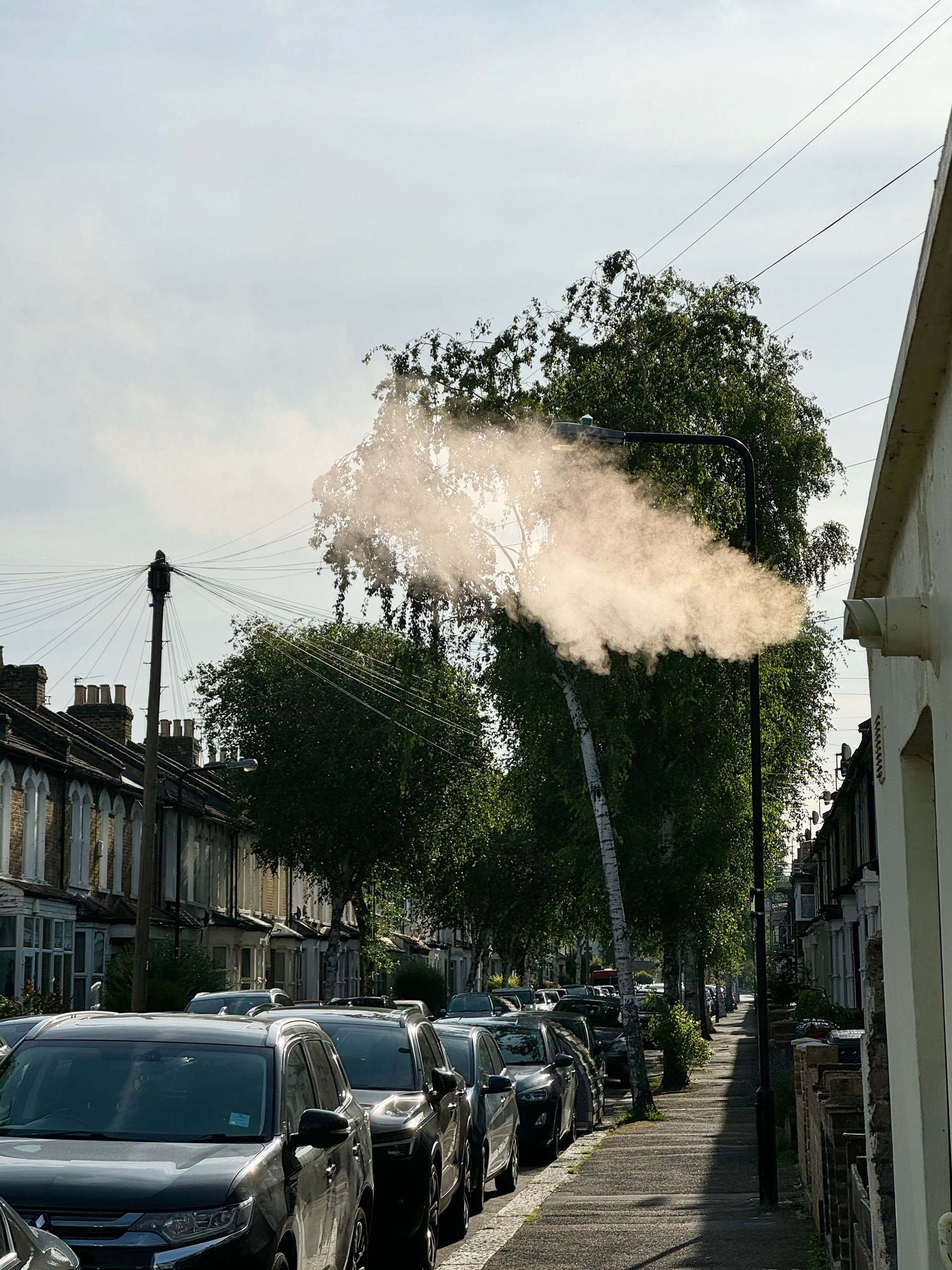 Gas boiler condensing in the flue